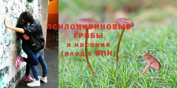 метадон Костерёво