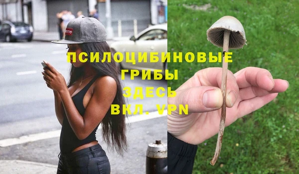 метадон Костерёво