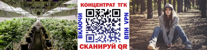 Купить закладки  Арск  ТГК концентрат 