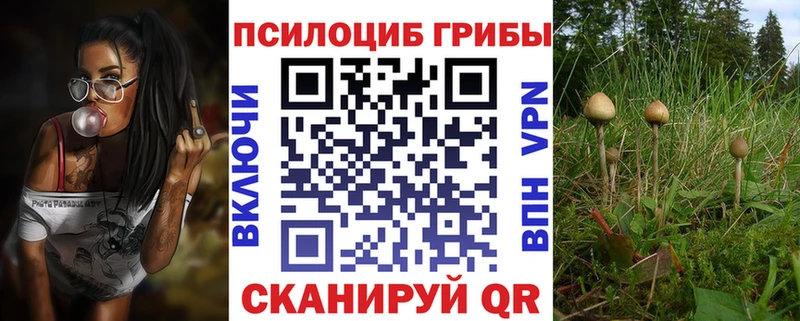 Купить  Арск  Галлюциногенные грибы Psilocybine cubensis 